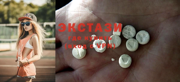 ECSTASY Богородицк